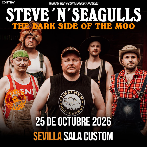 Steve N Seagulls