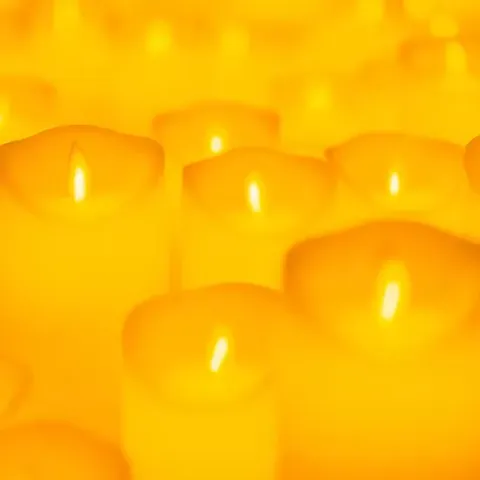 Candlelight: Tributo a La ley innata